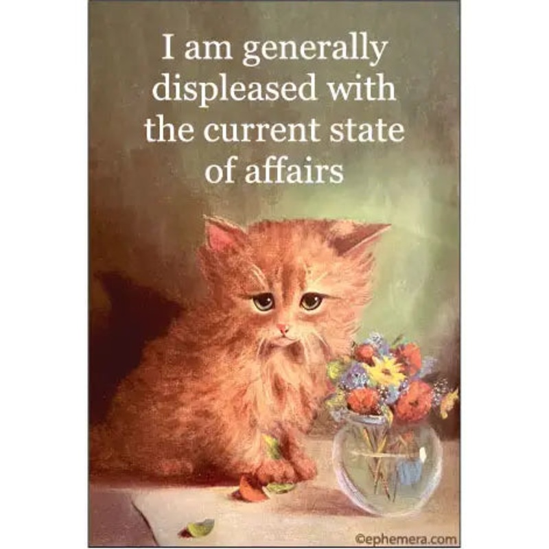 “I Am Generally Displeased” Magnet