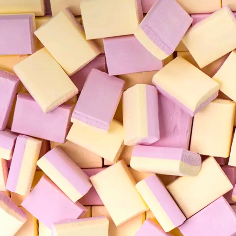 Vanilla Sherbet Ice Blocks 9 Pieces