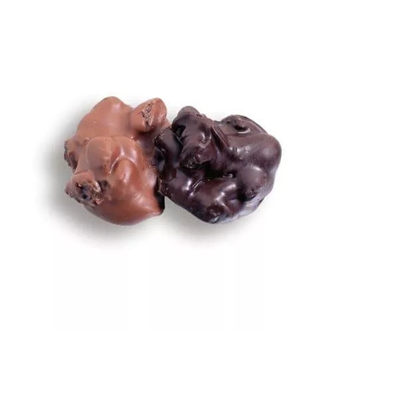 Asher Dark Chocolate Raisin Clusters 5lbs