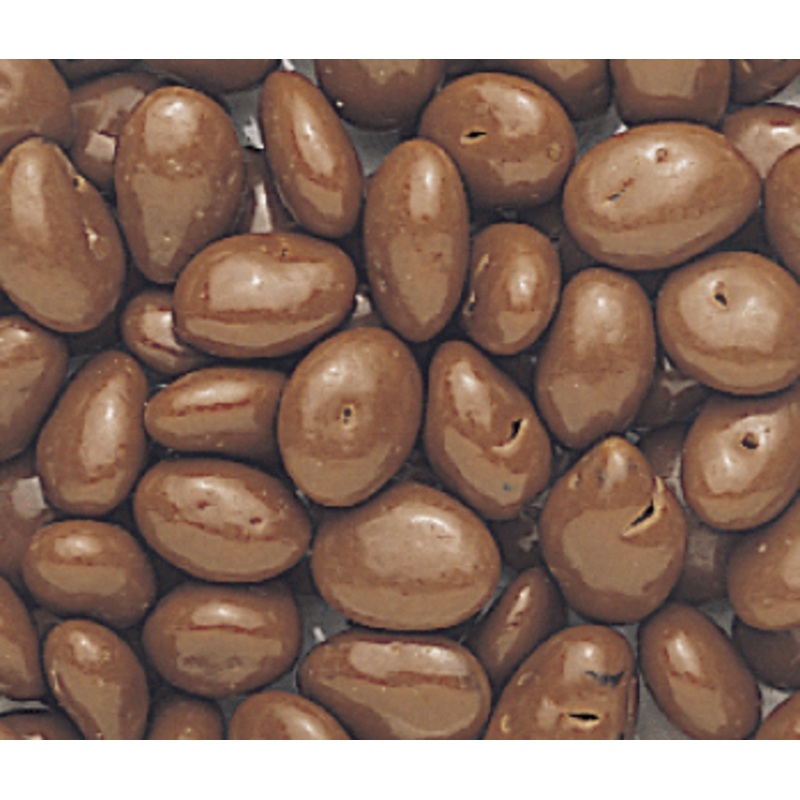 Chocolate Covered Raisins – 5lb