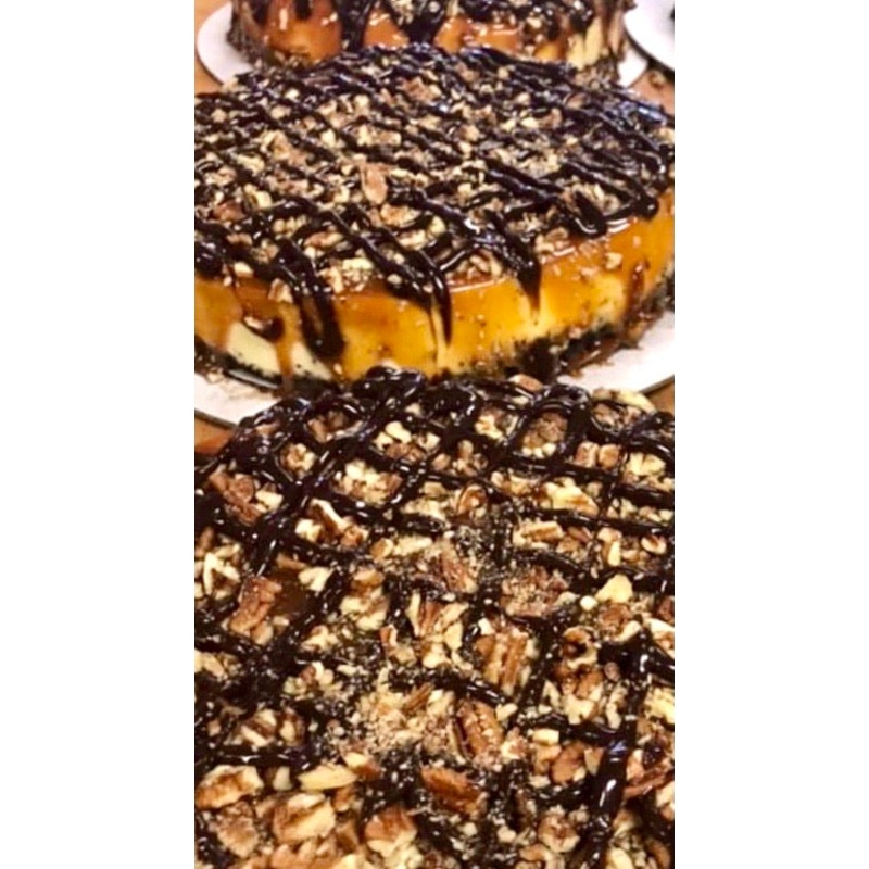Cheesecake | Turtle Saturday